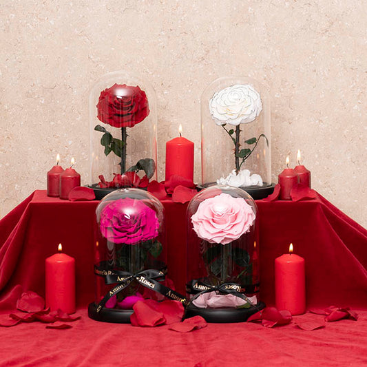 Amore Forever Rose Single Stem Cloche Hot Pink (12cmDx20cmH)