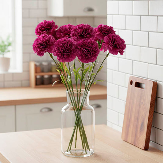 Carnation Ruffle Stem Burgundy (9cmDx42cmH)