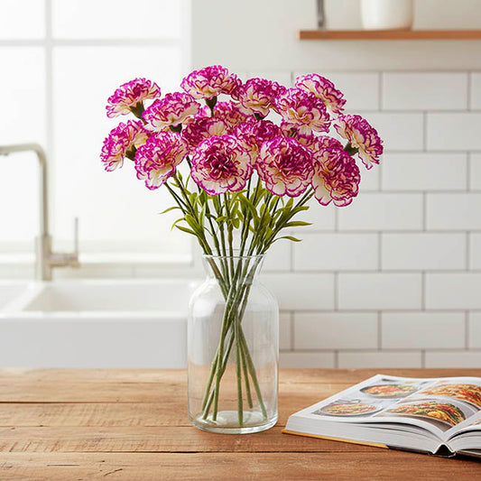 Carnation Ruffle Stem Cream Purple (9cmDx42cmH)