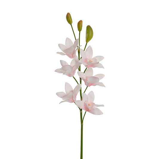 Real Touch Singapore Orchid x5 Flowers Cream Pink (64cmH)