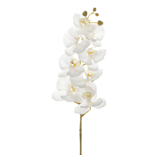 Phalaenopsis Orchid Real Touch 8 Flowers White (97cmH)