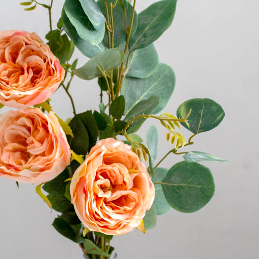 Eucalyptus Silver Dollar Spray Green (90cmH)