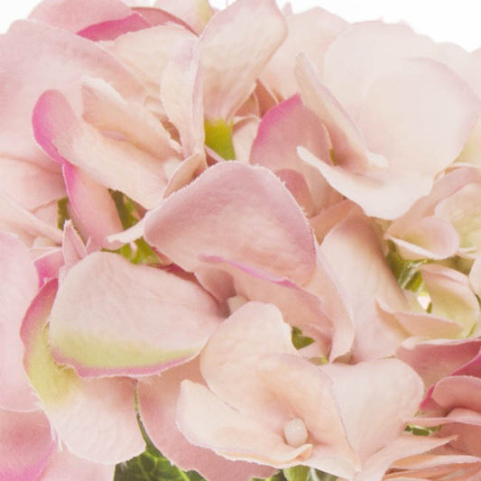 Hydrangea Victoria Bouquet Pink (32cmH)