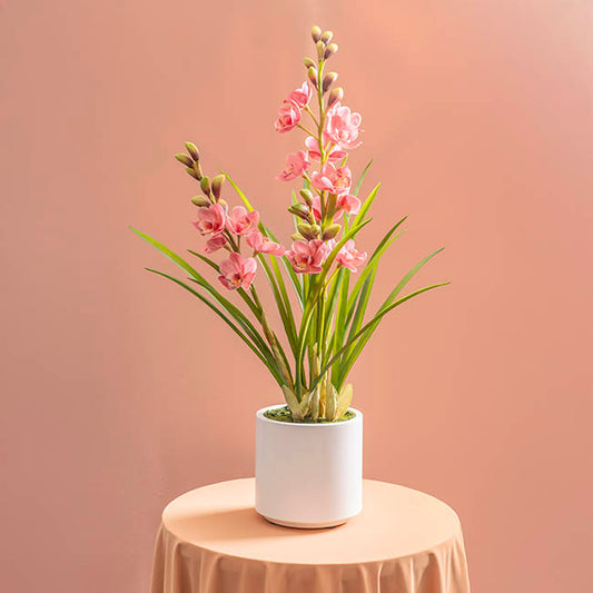 Cymbidium Orchid Real Touch 3 Stem Potted Pink (81cmH)