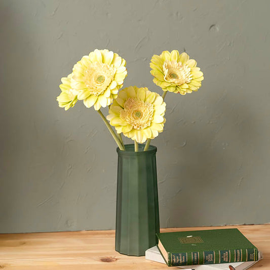 Gerbera Revolution Stem Soft Green (13cmDx65cmH)