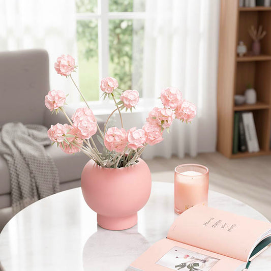 Scabiosa Spray x 4 Heads Pink (60cmH)