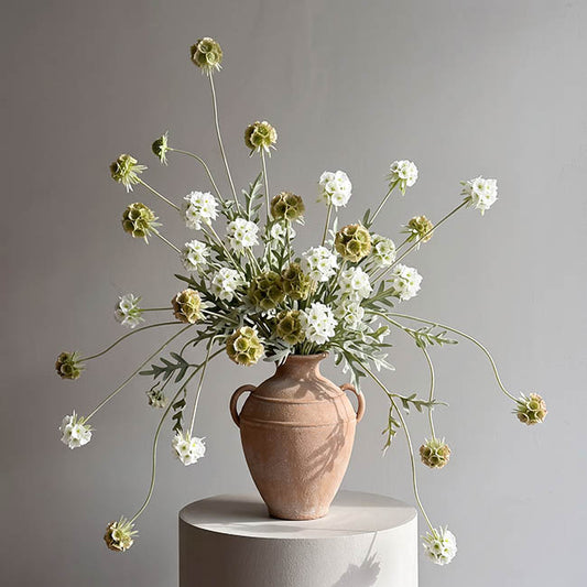 Scabiosa Spray x 4 Heads Soft Green (60cmH)