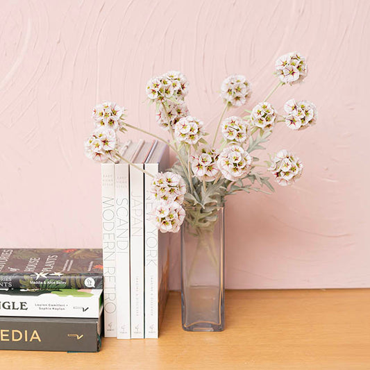 Scabiosa Spray x 4 Heads White (60cmH)