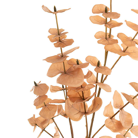 Eucalyptus Large Leaf Spray Soft Brown (88cmH)