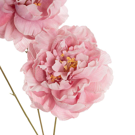 Peony x3 Head Spray Pink (77cmH)