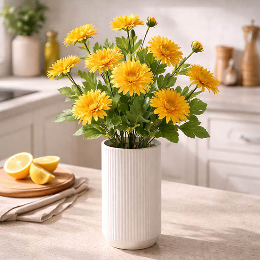 Chrysanthemum x 7 Head Spray Yellow (83cmH)