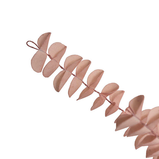 Fern Spray Bunch Soft Pink (50cmH)