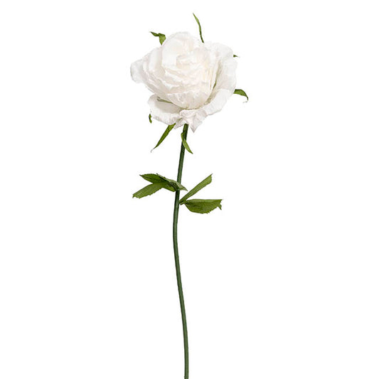 Giant Romantic Rose Stem White (50cmDx160cmH)