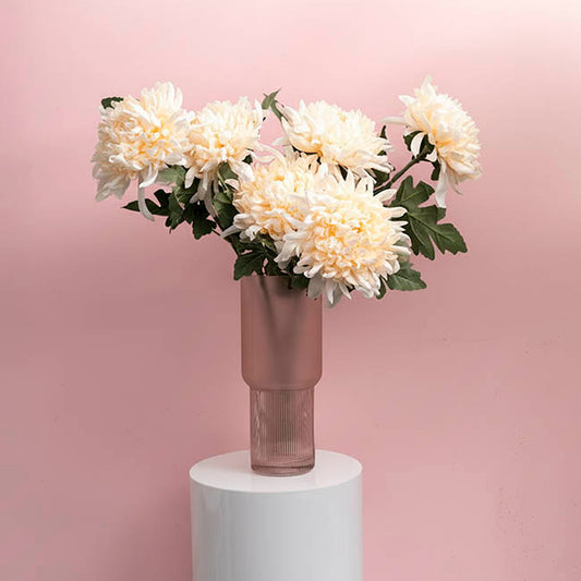 Giant Chrysanthemum Stem Champagne (21cmDx65cmH)