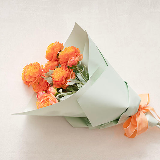Buttercup Ranunculus Spray x3 Apricot (52cmH)