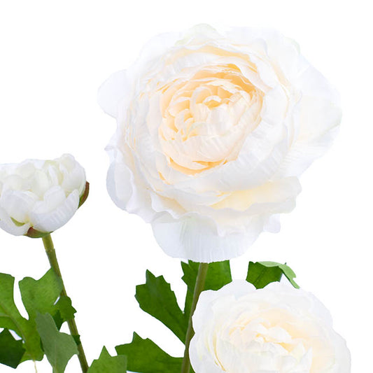 Helena Ranunculus Spray Cream (61cmH)