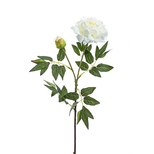 Evelyn Peony Spray White (70cmH)