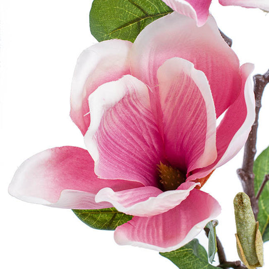 Magnolia Open Flower Spray with Bud Mauve (71cmH)