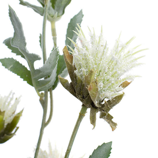 Thistle Flower White (83cmH)