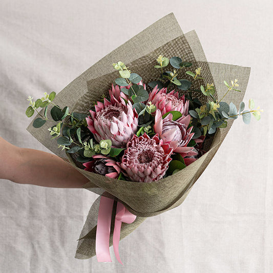 Protea Magnifica Stem Deep Pink (14cmDx69cmH)