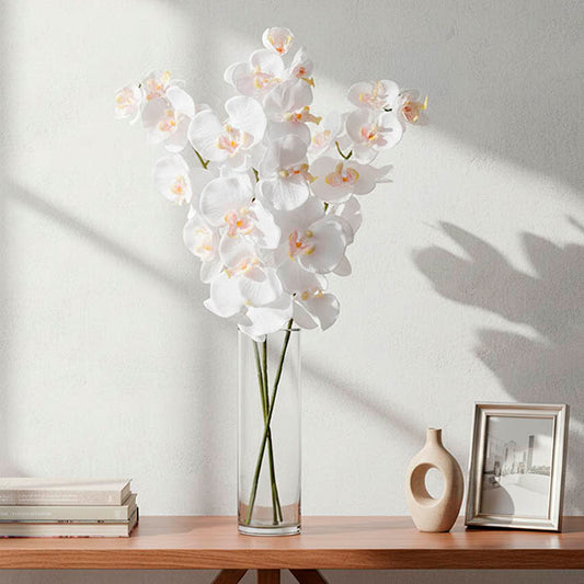 Phalaenopsis Orchid White (90cmH)
