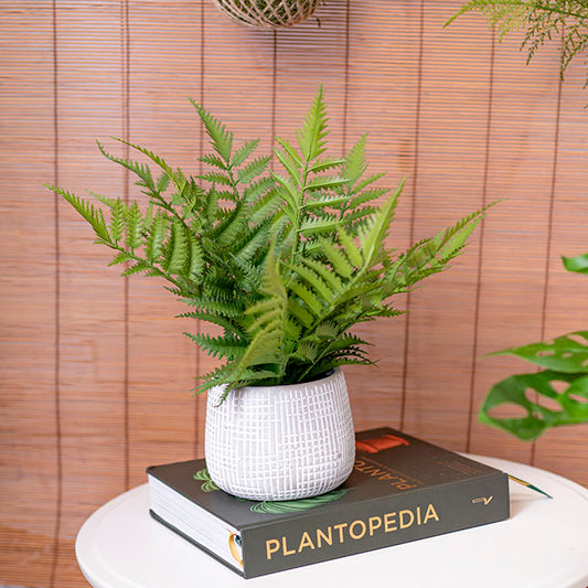 Artificial Parathelypteris Fern Potted Plant Green (33cmH)