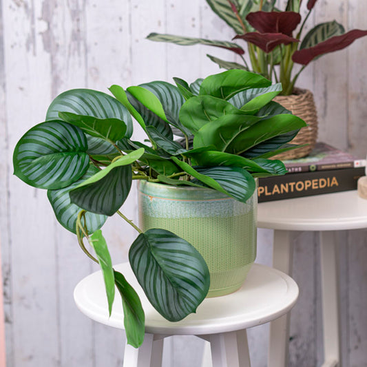 Real Touch Arrowroot Draping Potted Plant Green (35cmH)