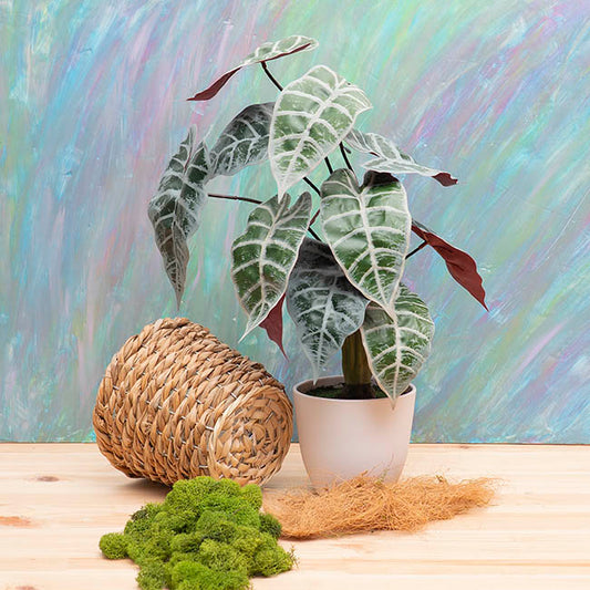 Real Touch Faux Alocasia Plant in White Pot Green (53cmH)
