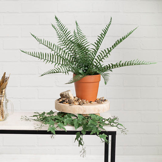 UV Treated Forest Fern Spray Green (50cmH)