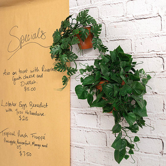 UV Treated Hanging Plant Heart Leaf Green (50cmH)