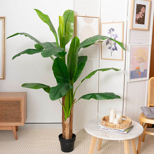 Artificial Banana Tree 3 Trunk Green (180cmH)