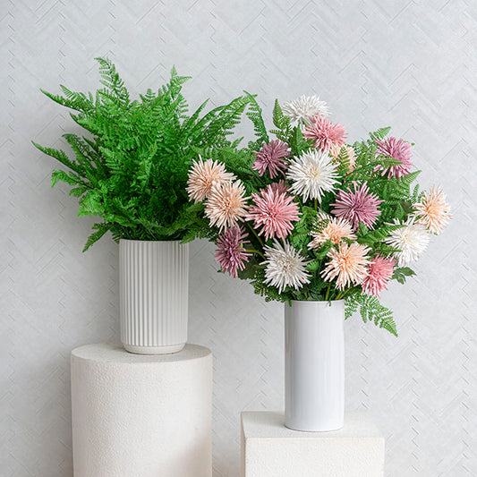 Cystopteris Moupinensis Franch Fern Spray Green (82cmH)