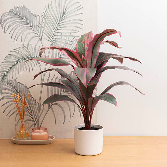 Real Touch Faux Cordyline Plant Potted Red (65cmH)