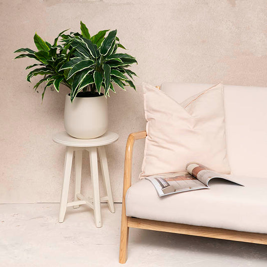 Real Touch Faux Dieffenbachia Plant Potted Green (60cmH)