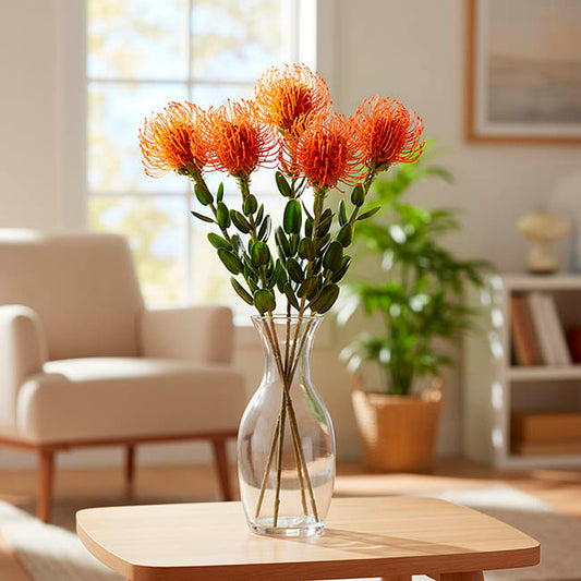 Native Leucospermum Orange (61cmH)
