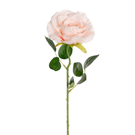Sophie Open Rose Stem Pale Pink (11.5cmDx51cmH)