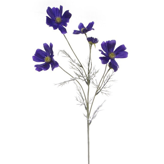Cosmos Spray Cobalt Blue (62cmH)