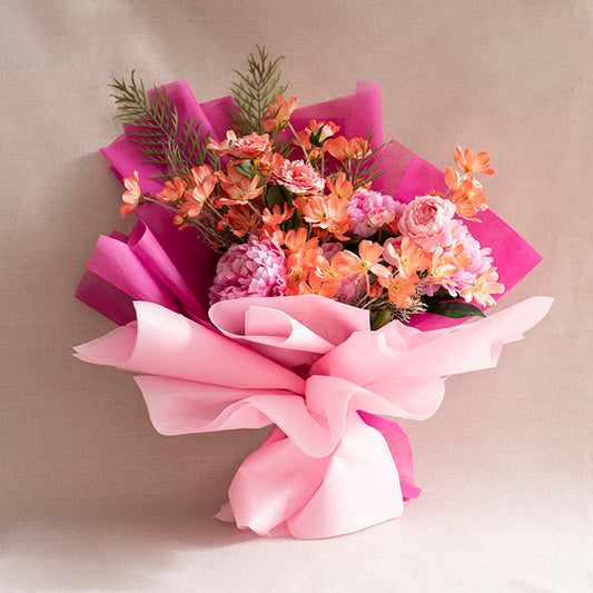 Cosmos Spray Coral (62cmH)