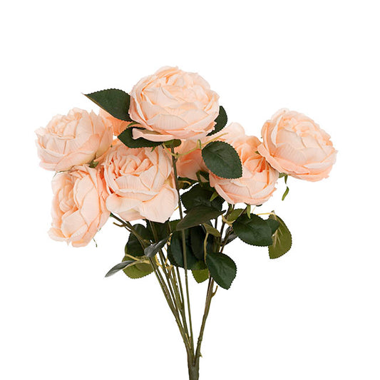 Cabbage Rose x 10 Heads Bouquet Soft Peach (9cmDx45cmH)