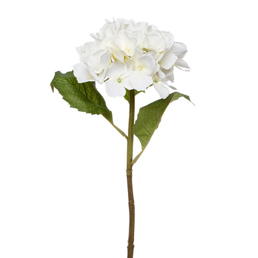 Claire Hydrangea Short Stem Cream (52cmH)