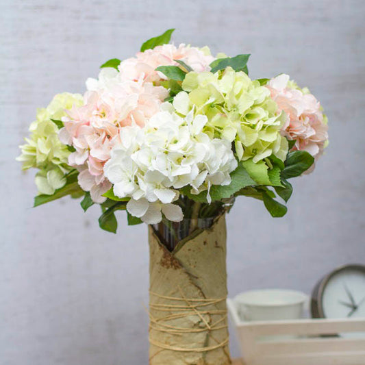 Claire Hydrangea Short Stem Green (52cmH)