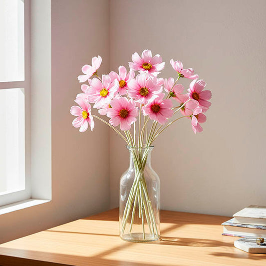 Queen Cosmos Stem Lilac (12cmDx56cmH)