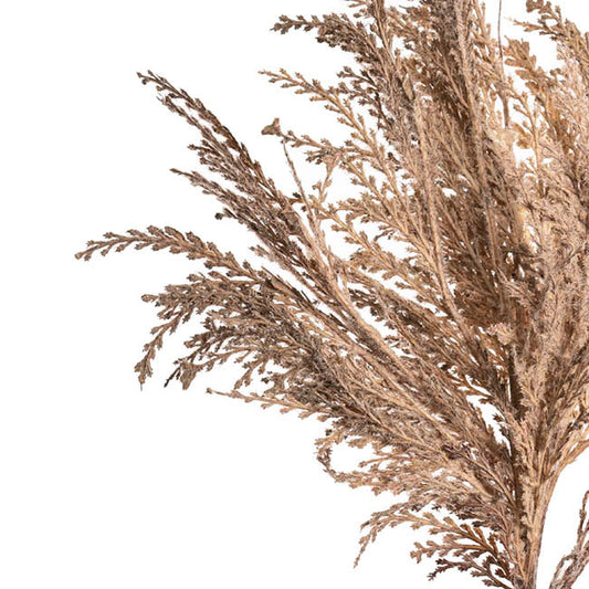 Reed Spray Soft Almond (81cmH)