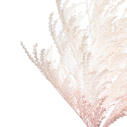 Reed Spray Cream (81cmH)