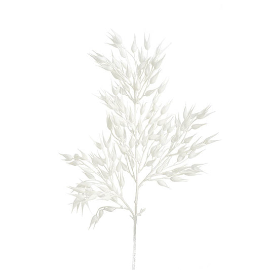 Coix Seed Grass Spray White (65cmH)