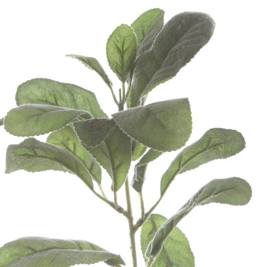 Lambs Ear Spray Grey (34cmH)