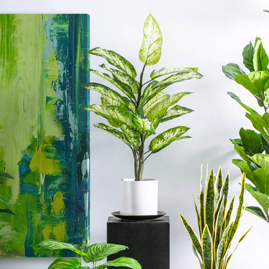 Artificial Dieffenbachia Potted Plant Real Touch (90cmH)