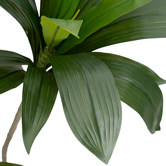 Faux Real Touch Dracaena in White Pot Green (120cmH)