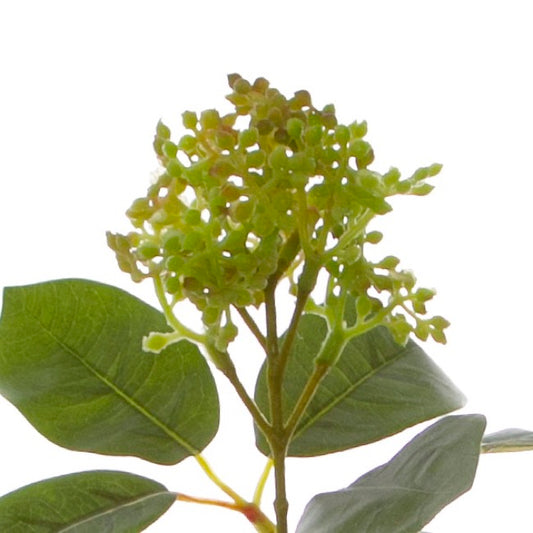 Viburnum Spray Green (32cmH)