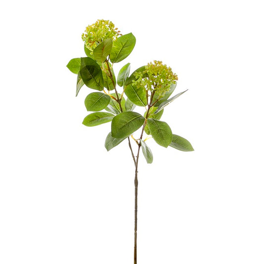 Viburnum Spray x2 Heads Green (70cmH)